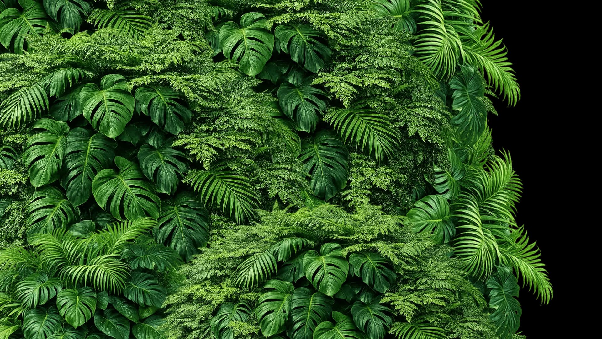 left-leaf