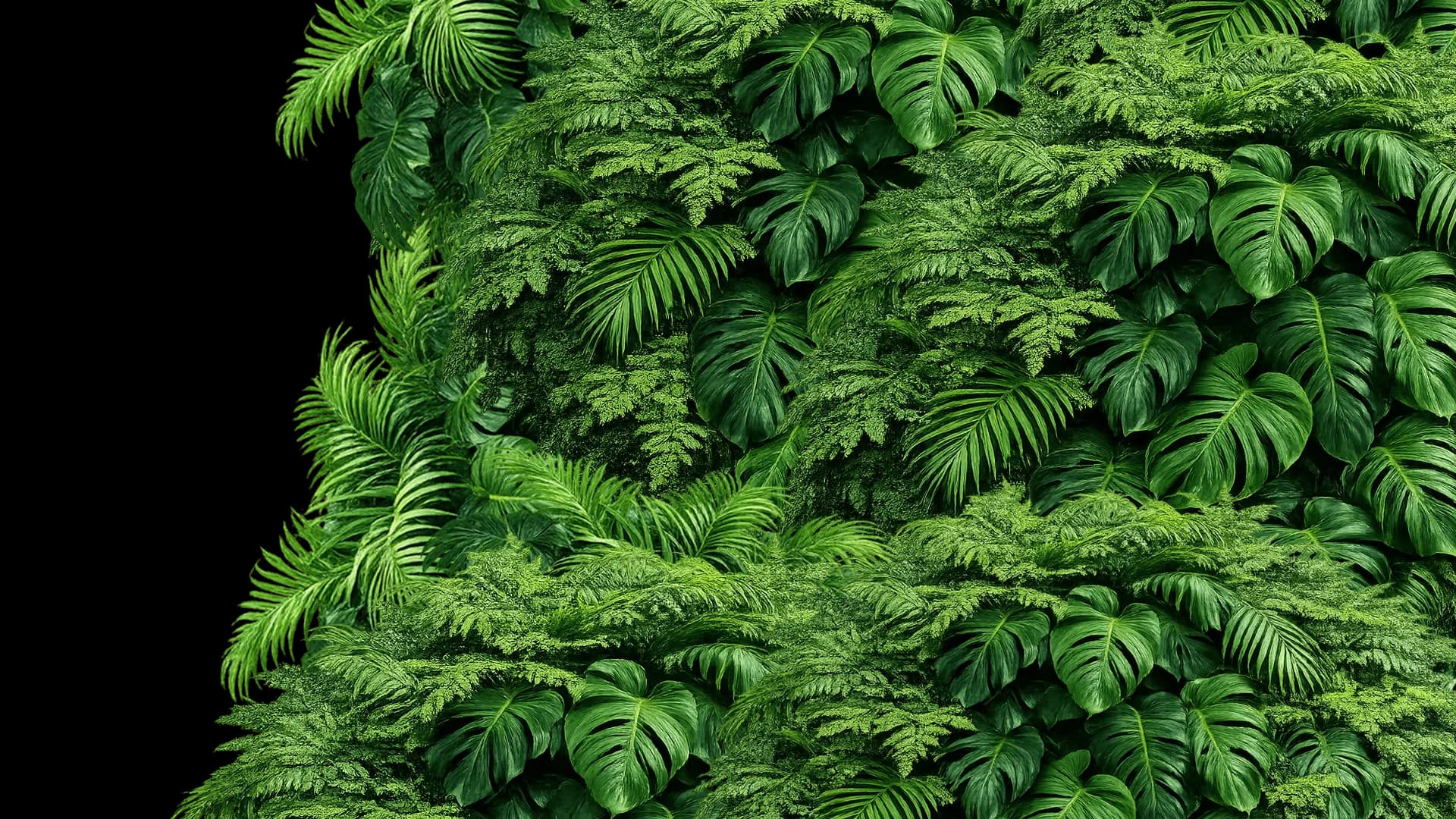 right-leaf